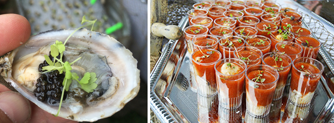 Featured Recipe: Michelada Oyster Shooters - Seattle Fish Co.Seattle