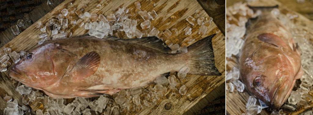 Grouper