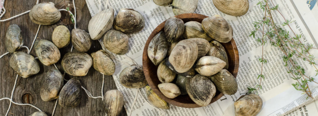 Hardshell Clams