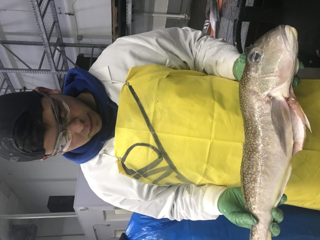 Pacific Golden-eyed Tilefish