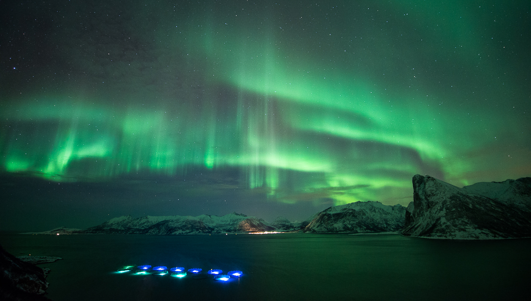 Northern-Lights-on-Kvaroy-Arctic-Farm-1 - Seattle Fish Co.