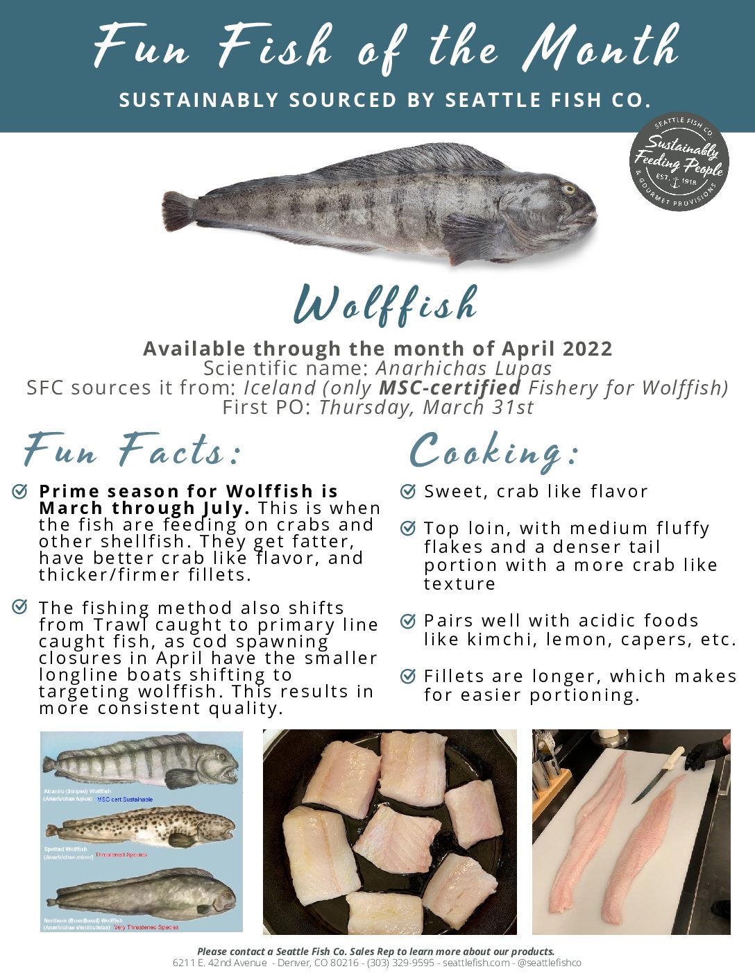 April-Fish-of-the-Month-Wolffish - Seattle Fish Co.