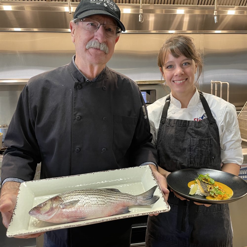 Colorado Striped Bass