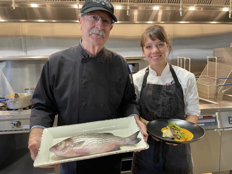 Colorado Striped Bass